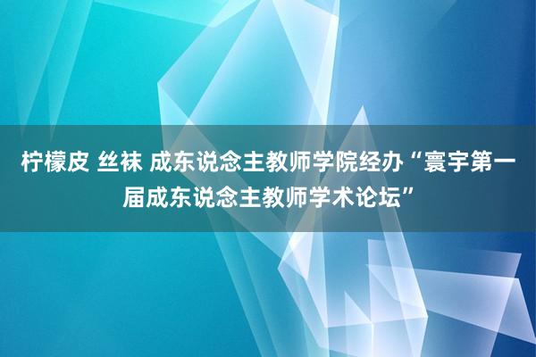 柠檬皮 丝袜 成东说念主教师学院经办“寰宇第一届成东说念主教师学术论坛”