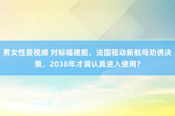 男女性爱视频 对标福建舰，法国驱动新航母劝诱决策，2038年才调认真进入使用？