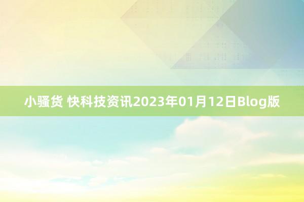 小骚货 快科技资讯2023年01月12日Blog版