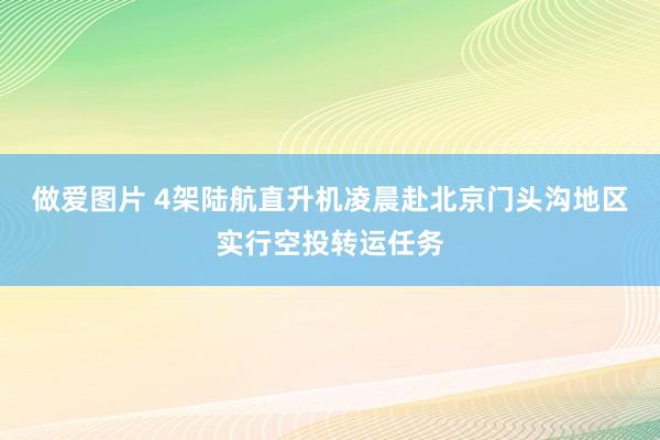 做爱图片 4架陆航直升机凌晨赴北京门头沟地区实行空投转运任务