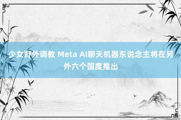 少女野外调教 Meta AI聊天机器东说念主将在另外六个国度推出