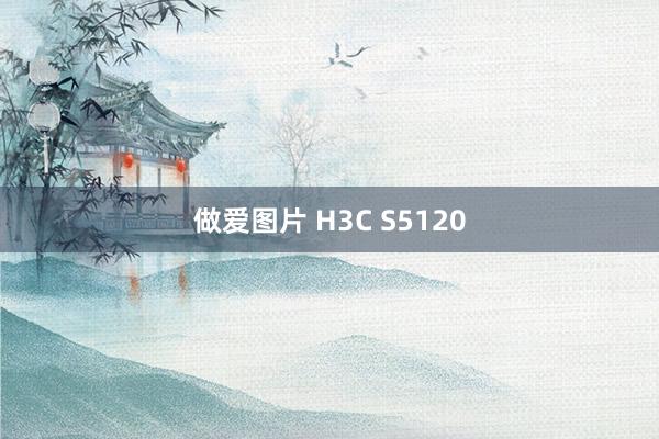 做爱图片 H3C S5120