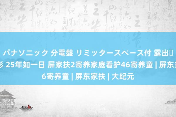 パナソニック 分電盤 リミッタースペース付 露出・半埋込両用形 25年如一日 屏家扶2寄养家庭看护46寄养童 | 屏东家扶 | 大纪元