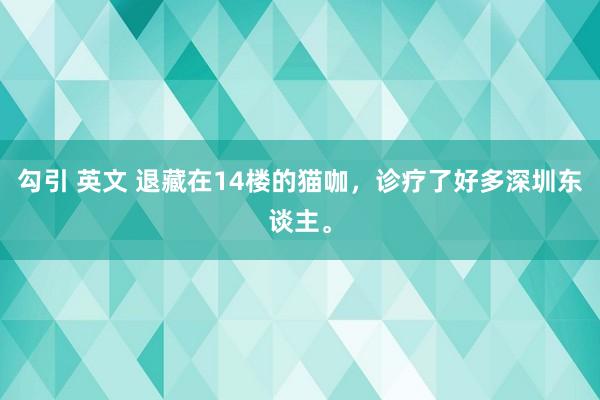 勾引 英文 退藏在14楼的猫咖，诊疗了好多深圳东谈主。