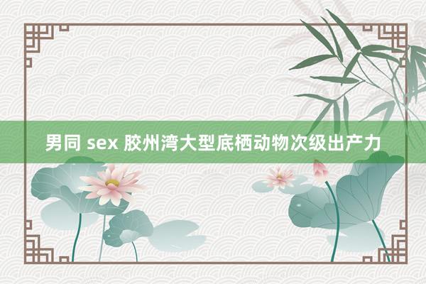 男同 sex 胶州湾大型底栖动物次级出产力