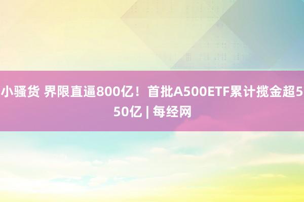 小骚货 界限直逼800亿！首批A500ETF累计揽金超550亿 | 每经网