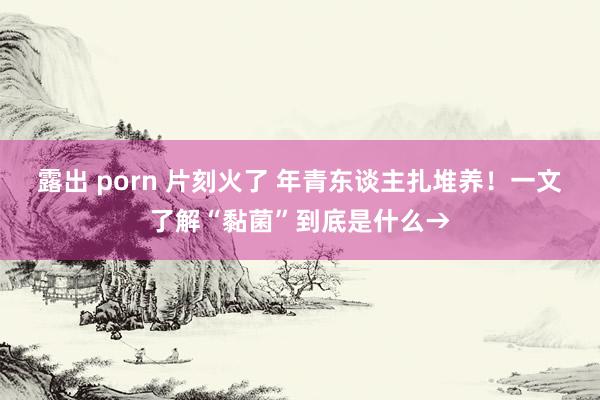 露出 porn 片刻火了 年青东谈主扎堆养！一文了解“黏菌”到底是什么→