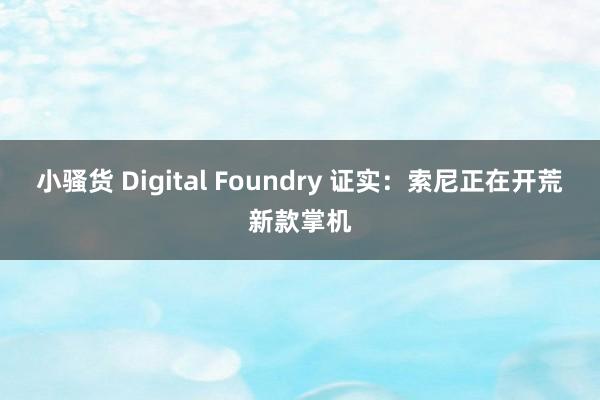 小骚货 Digital Foundry 证实：索尼正在开荒新款掌机