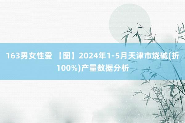 163男女性爱 【图】2024年1-5月天津市烧碱(折100%)产量数据分析